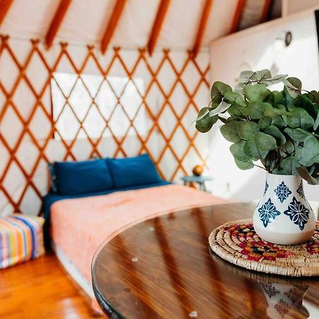 Heated & Ac Yurt Βίλα Penn Yan Εξωτερικό φωτογραφία