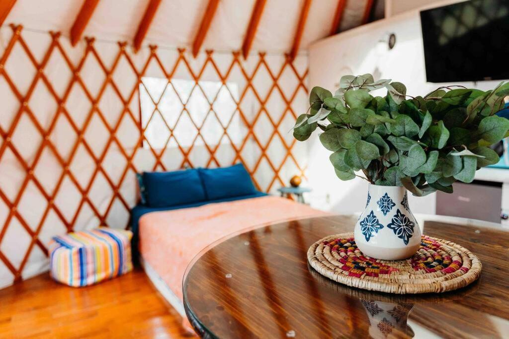 Heated & Ac Yurt Βίλα Penn Yan Εξωτερικό φωτογραφία